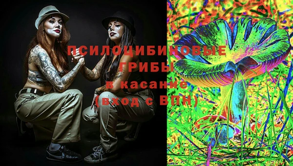 гидропоника Балабаново