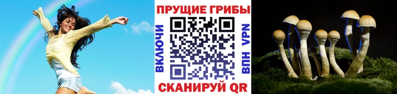 Псилоцибиновые грибы MAGIC MUSHROOMS  KRAKEN tor  Отрадная 